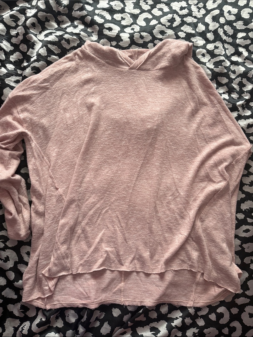 American Eagle Outfitters Soft Dusty Pink Hooded Long Sleeve Top